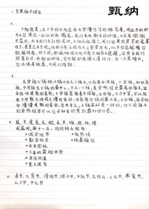 甄纳2