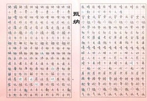 甄纳4