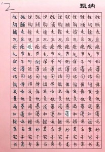 甄纳5